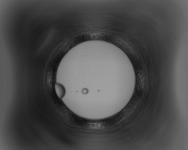 X0000100190698200806201255