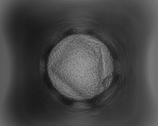 X0000100190699200806201255