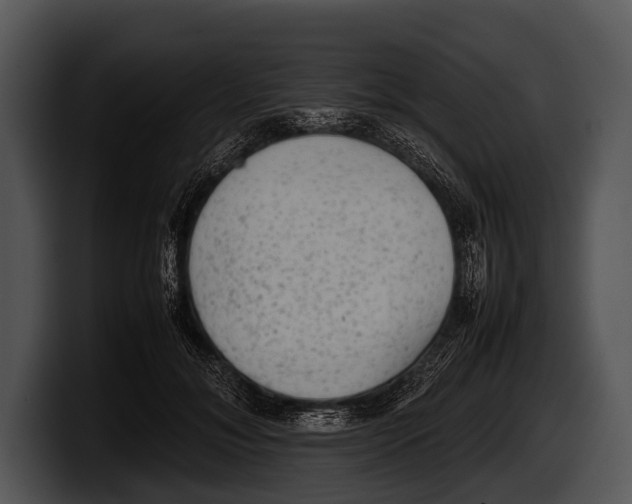 X0000100190700200806201255