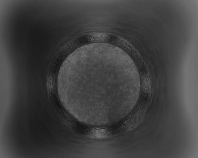 X0000100190701200806201255