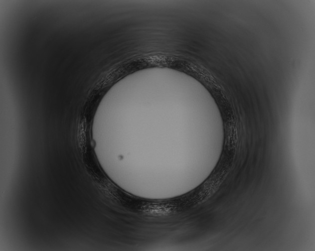 X0000100190702200806201255