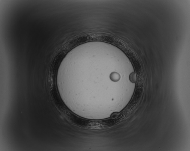 X0000100190703200806201255