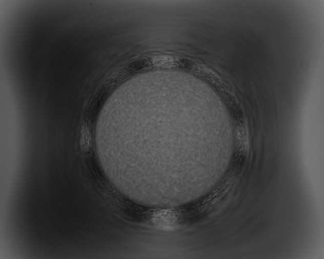 X0000100190705200806201255