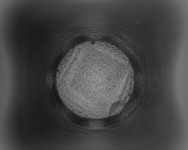 X0000100190707200806201255