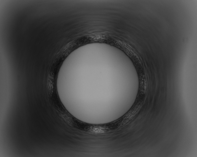 X0000100190710200806201254