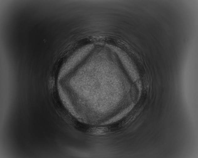 X0000100190711200806201254