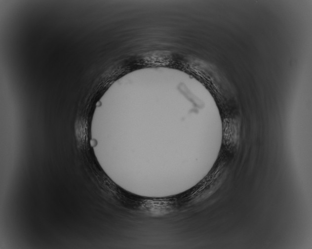 X0000100190713200806201254