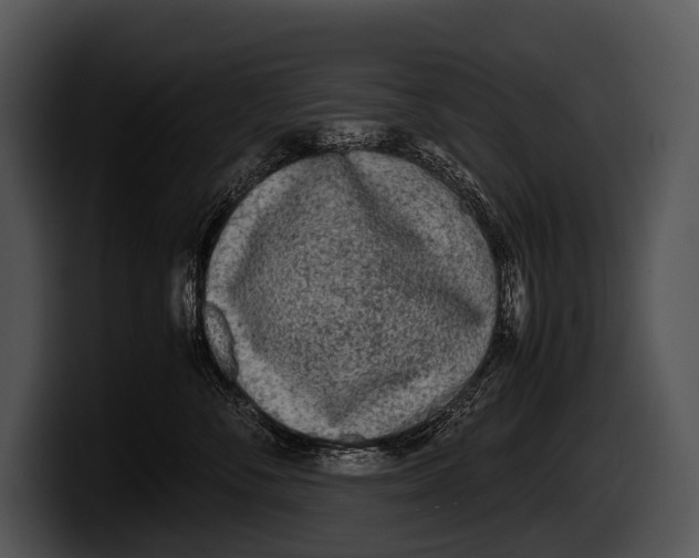 X0000100190716200806201254