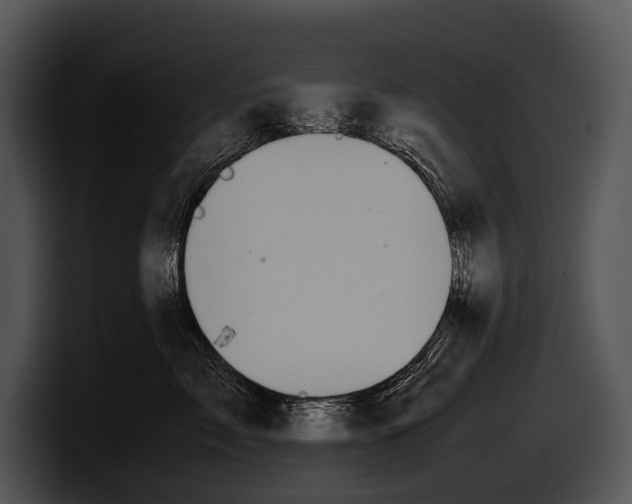 X0000100190717200806201254