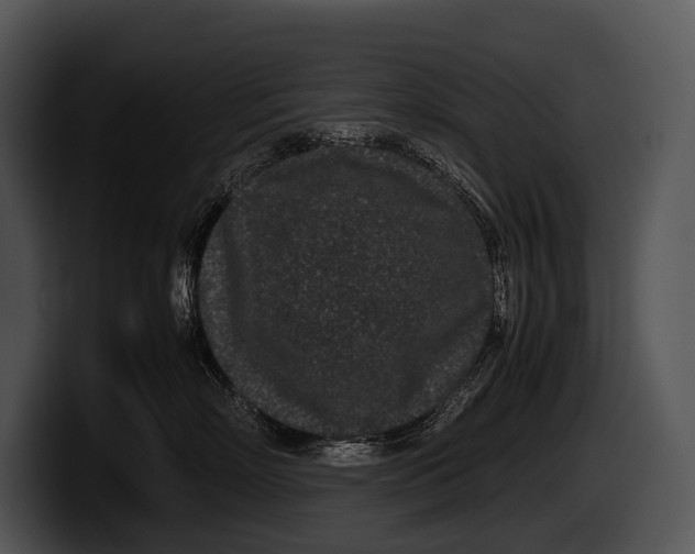 X0000100190718200806201254