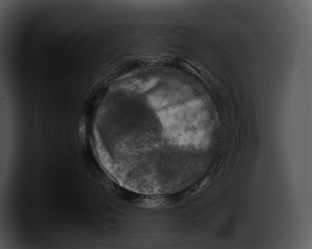 X0000100190720200806201254