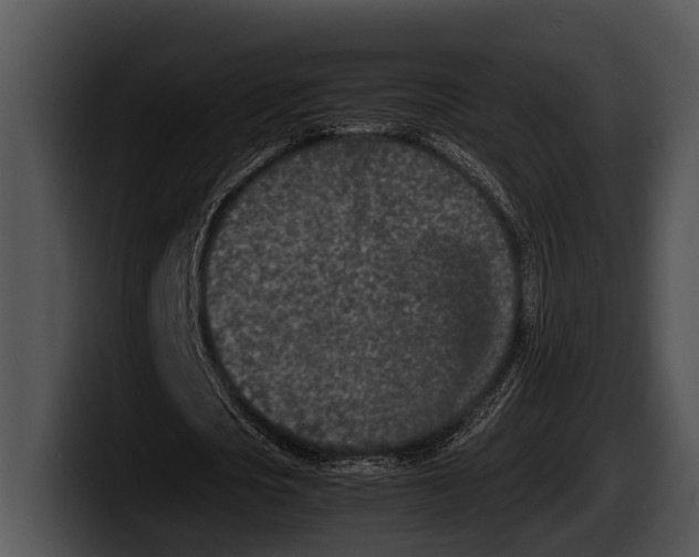 X0000100190721200806201254