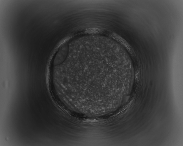 X0000100190724200806201254