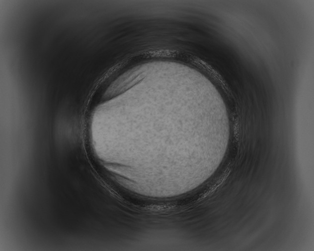 X0000100190725200806201254