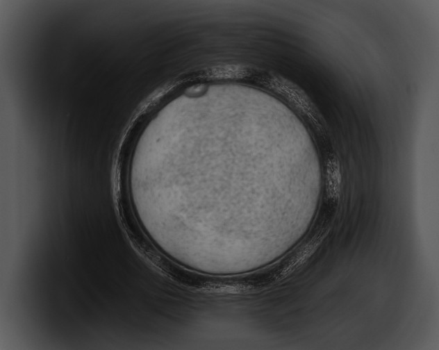 X0000100190726200806201254