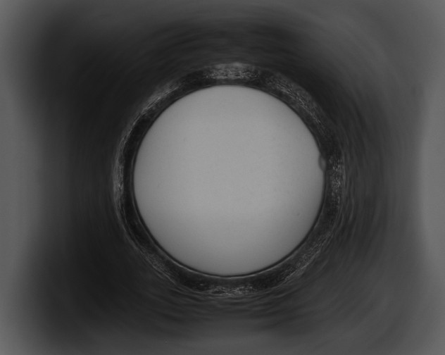 X0000100190727200806201254