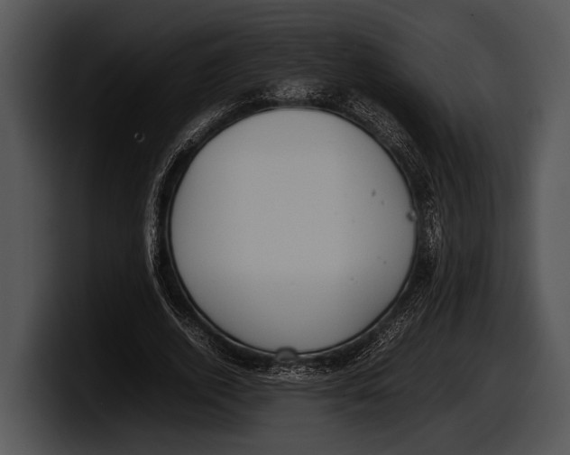 X0000100190728200806201254