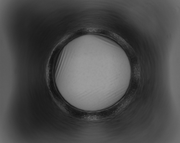 X0000100190730200806201254