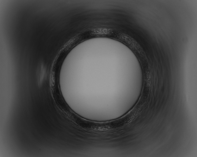 X0000100190731200806201254