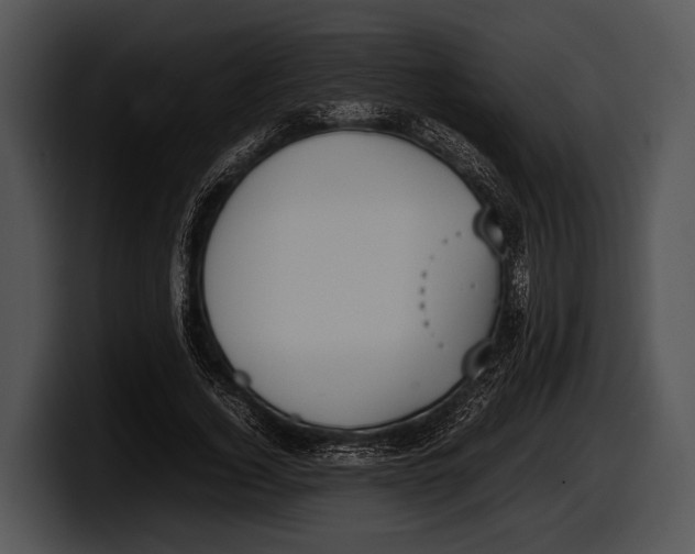 X0000100190732200806201254