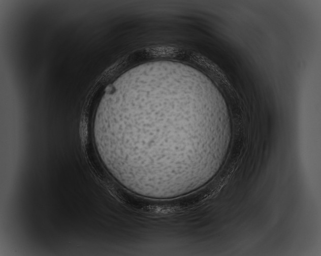 X0000100190733200806201254