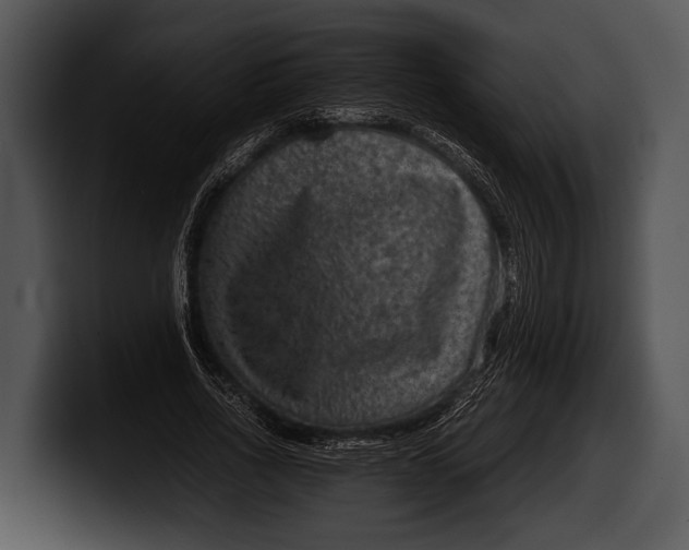 X0000100190734200806201254