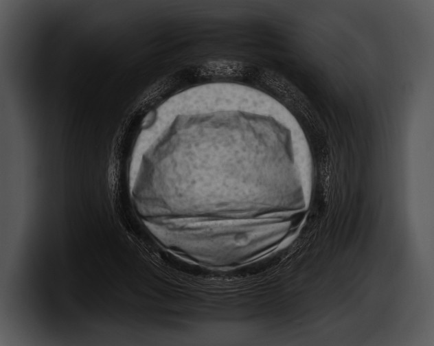 X0000100190735200806201254