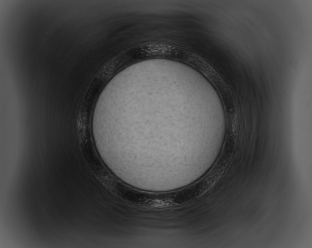 X0000100190737200806201254