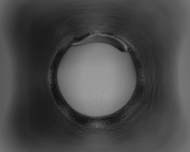 X0000100190738200806201254