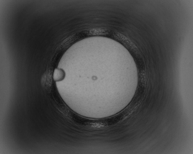 X0000100190741200806201254