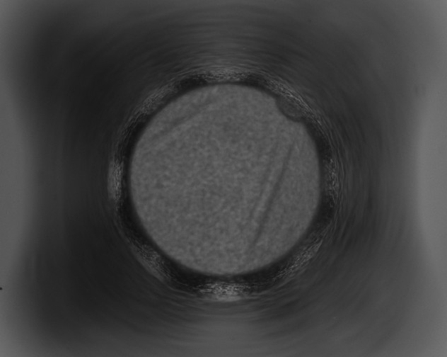 X0000100190742200806201254