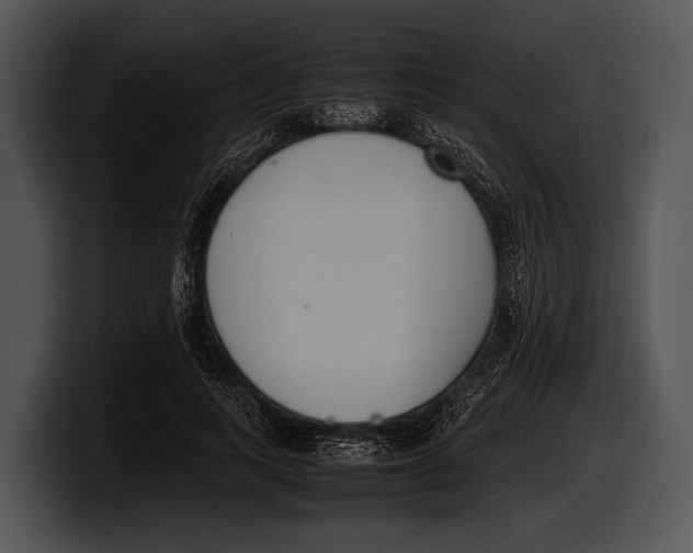 X0000100190743200806201254