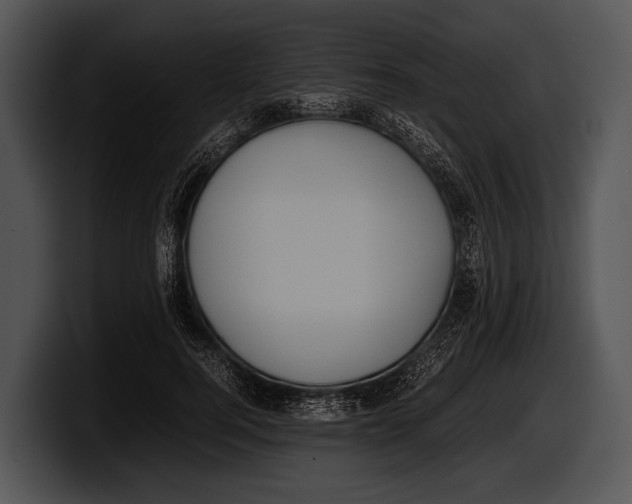 X0000100190744200806201254