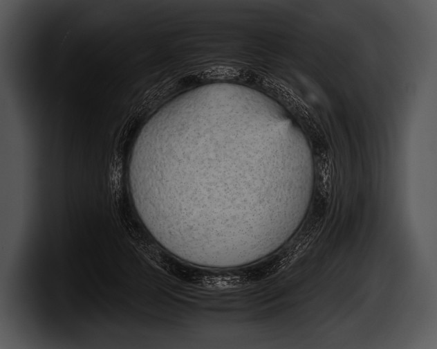 X0000100190745200806201254