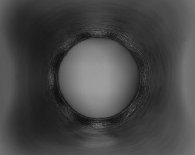 X0000100190746200806201254