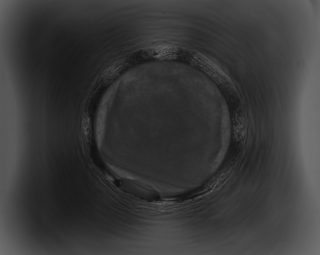 X0000100190748200806201254