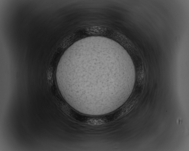 X0000100190749200806201254