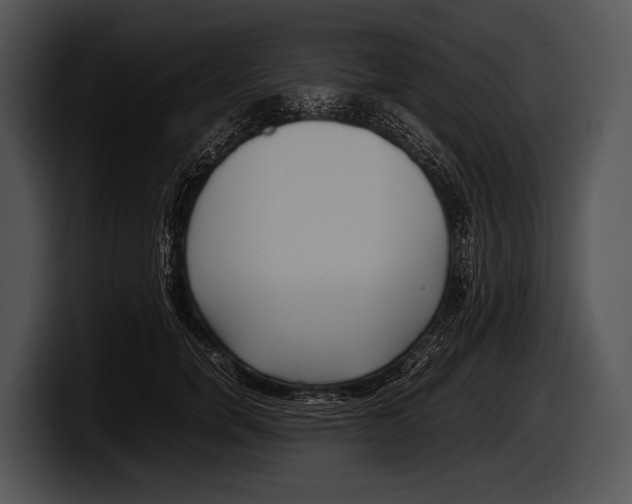 X0000100190750200806201254