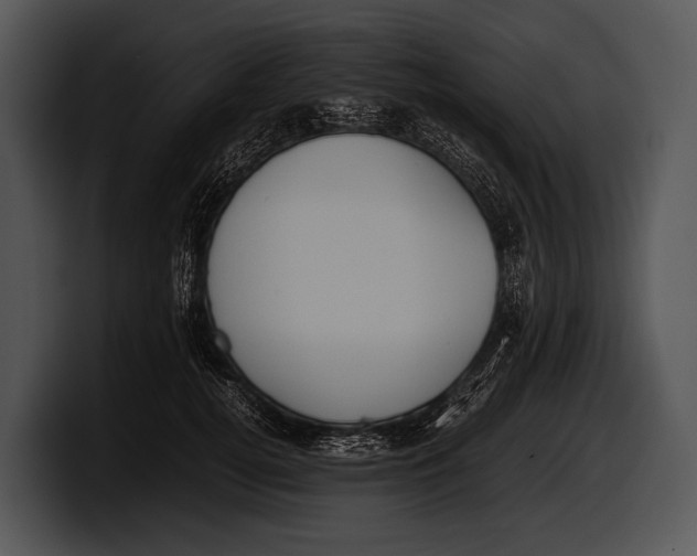 X0000100190752200806201254