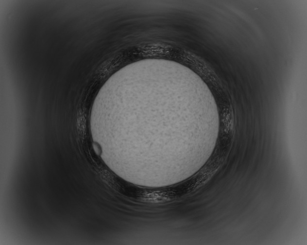 X0000100190753200806201254