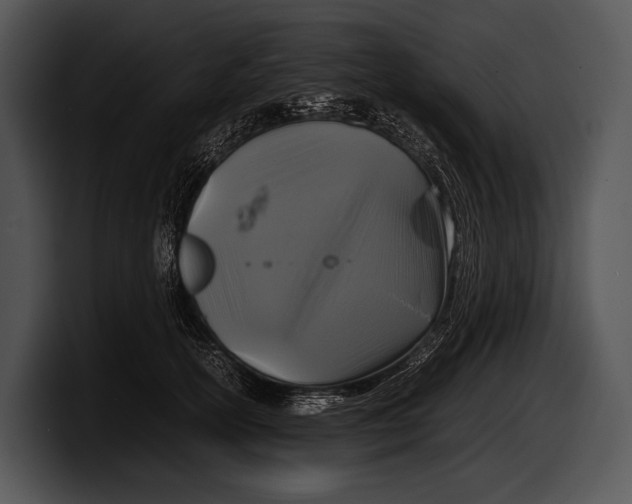 X0000100190754200806201254