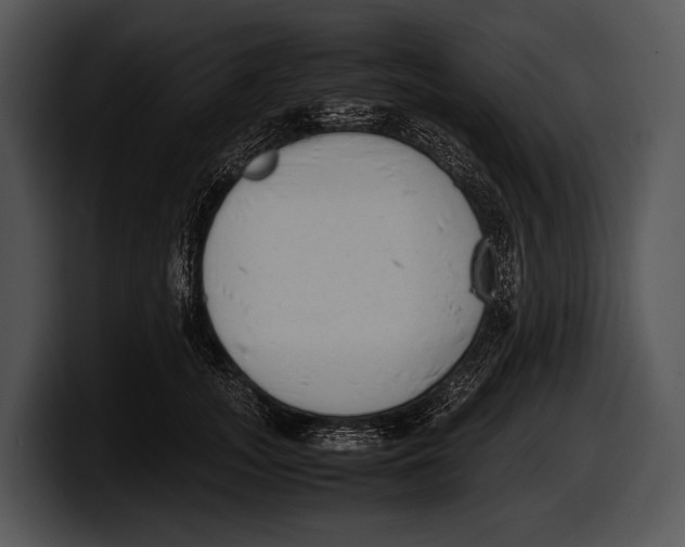 X0000100190755200806201254