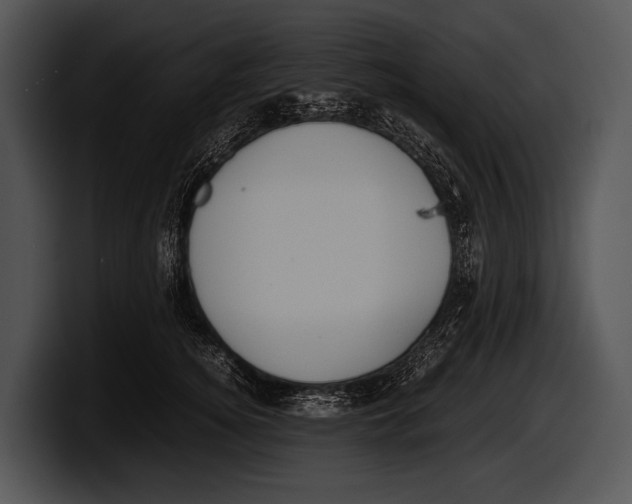 X0000100190756200806201254