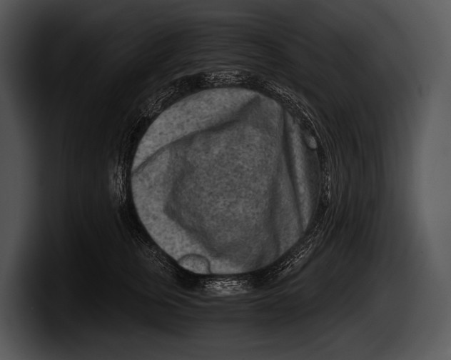 X0000100190759200806201254