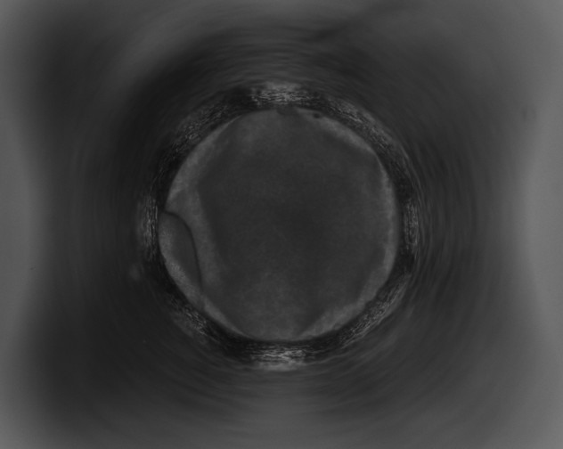 X0000100190760200806201254