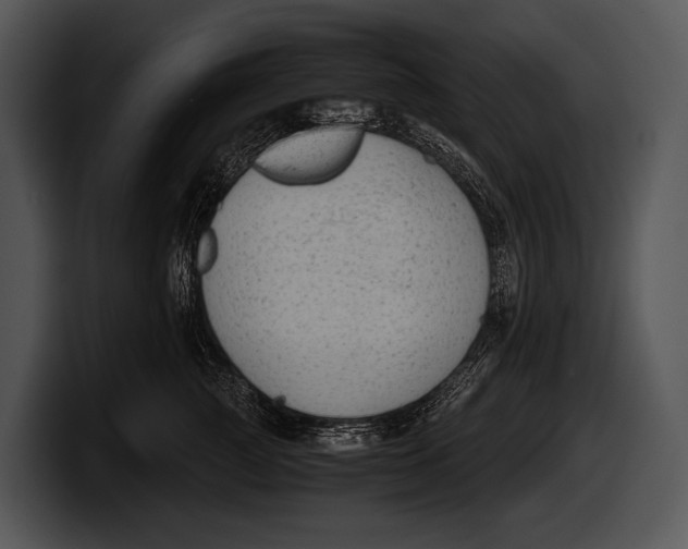 X0000100190761200806201254