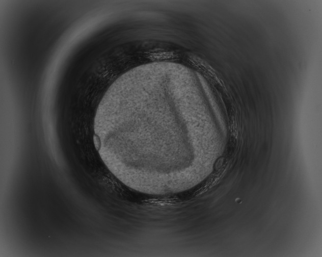 X0000100190763200806201254