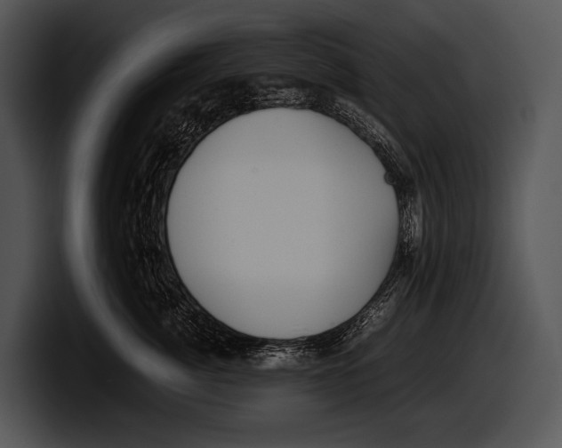 X0000100190764200806201254