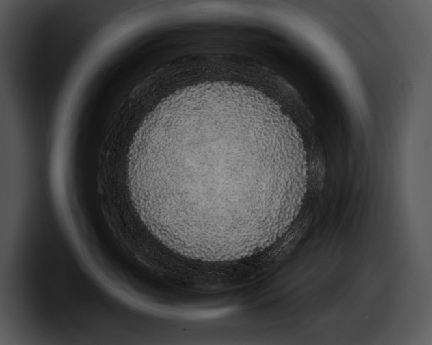 X0000100190765200806201254