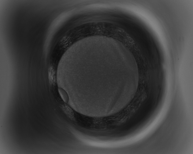 X0000100190766200806201254